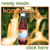 Buy fresh ready made bottled Kombucha Tea